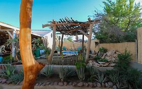 The Desert House